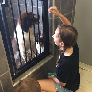 Meet your Posher, Madison